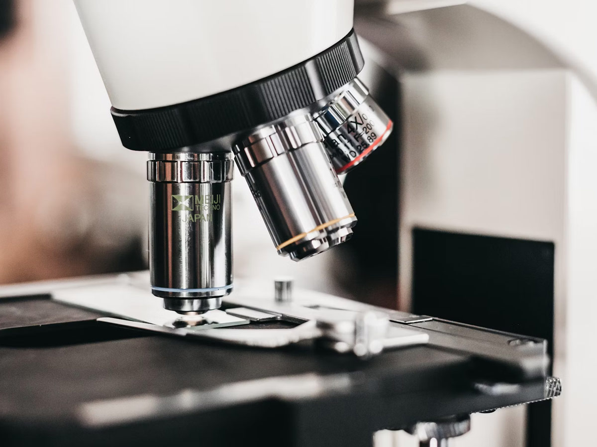 Biodisponibilité accrue