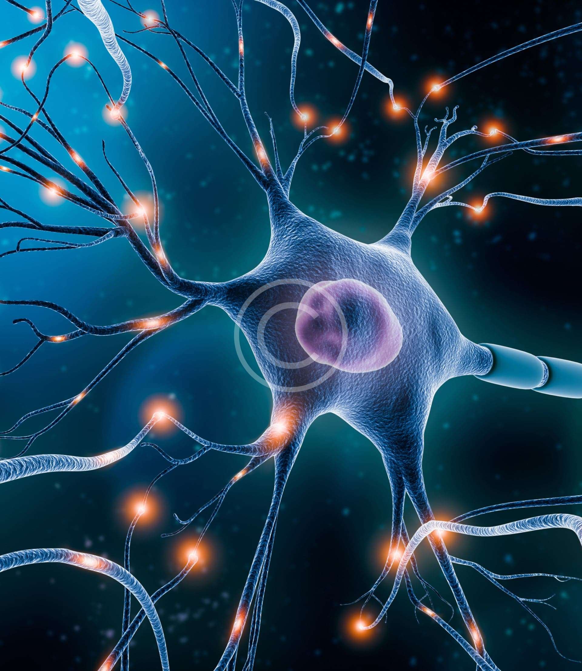 Neurologie